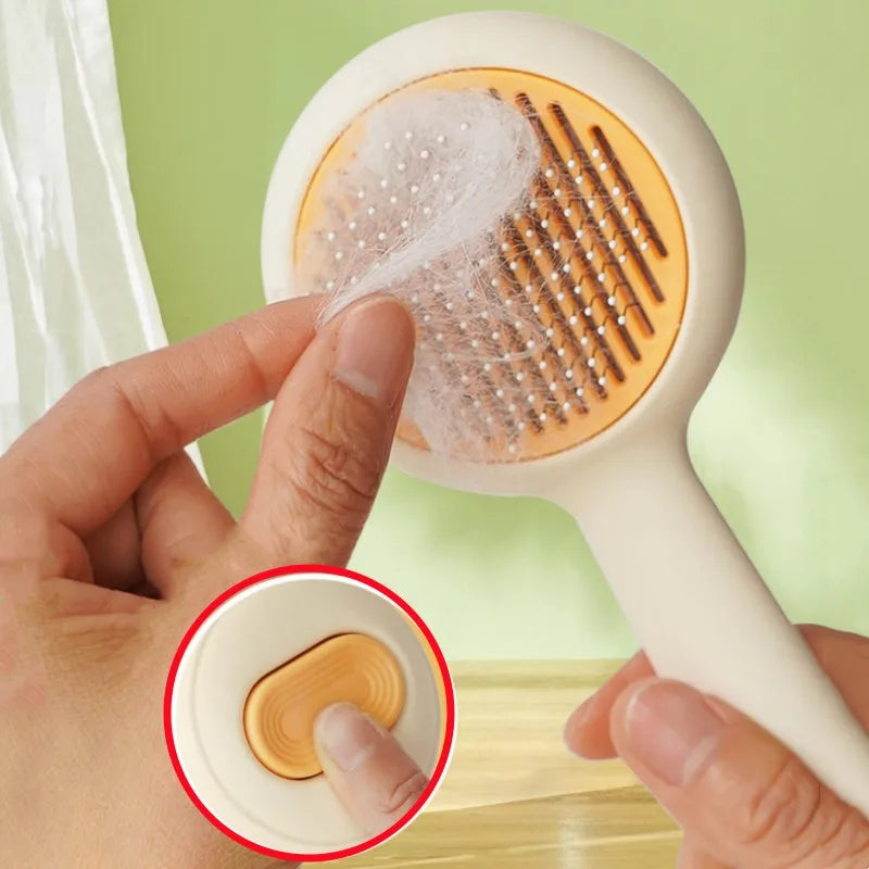 cat grooming