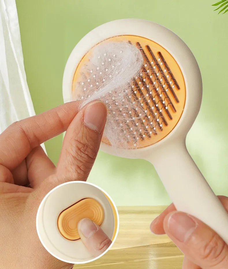cat brush