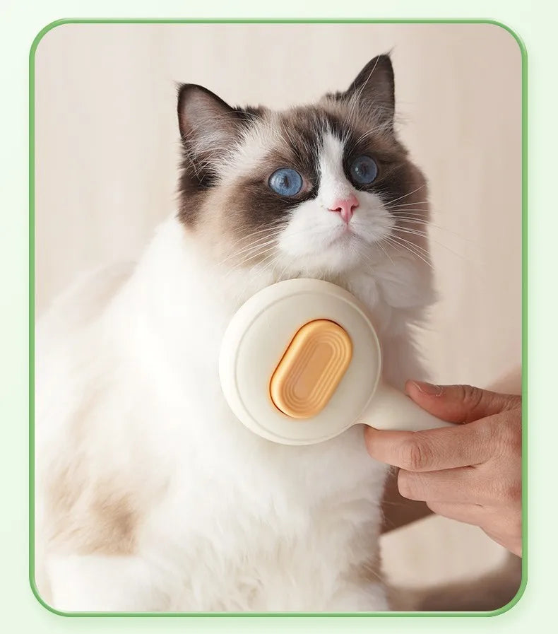 cat brush