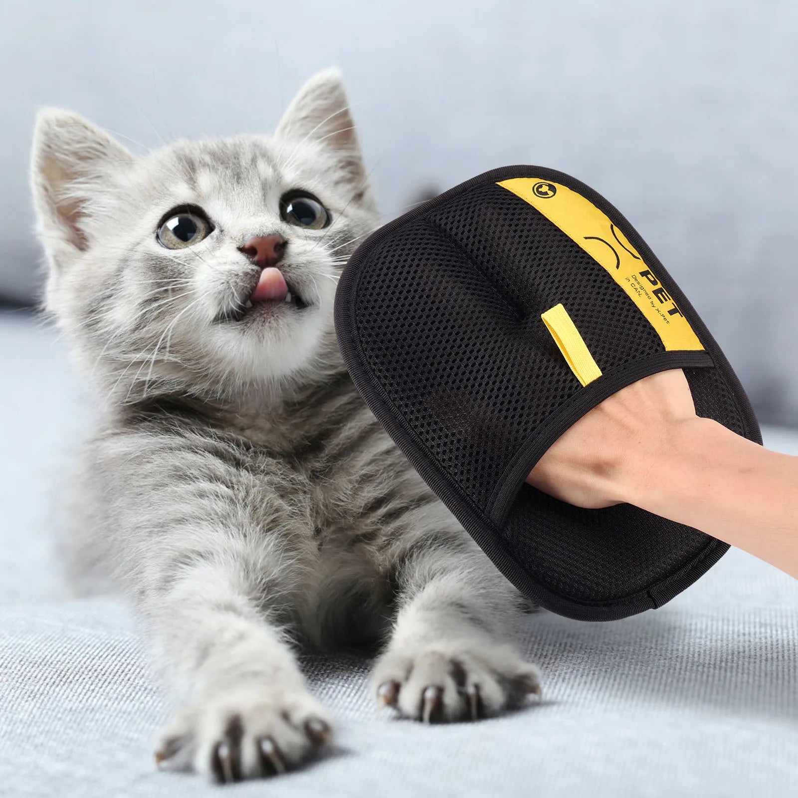 clean cats