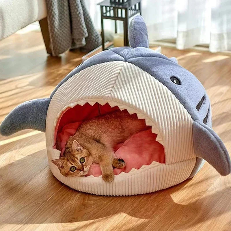 Cat sleeping inside cozy shark cave bed