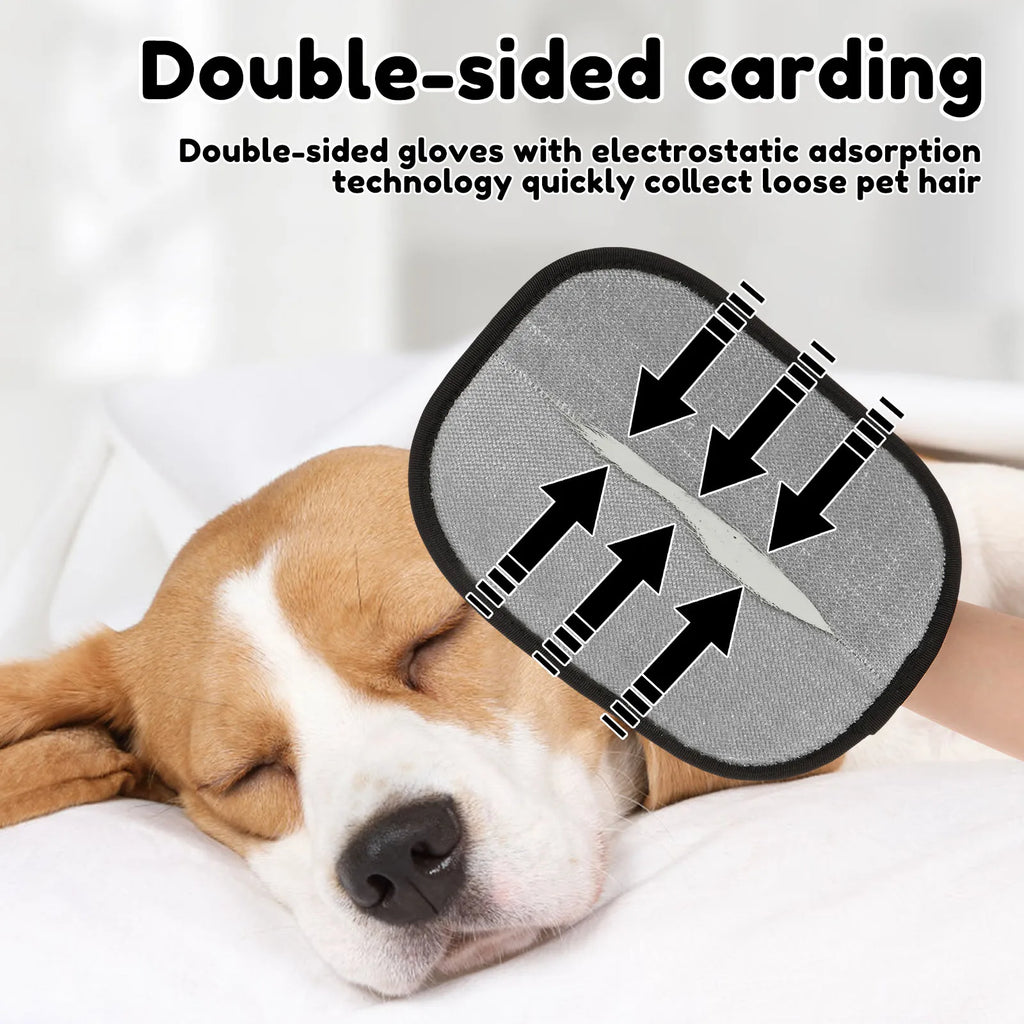 dog grooming