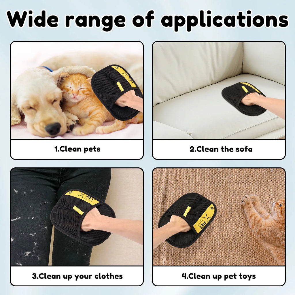 clean the sofa