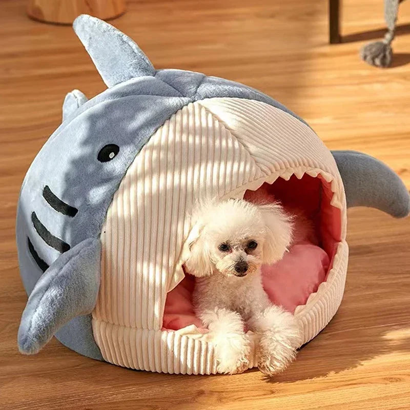 Small dog resting in shark-shaped cave bed