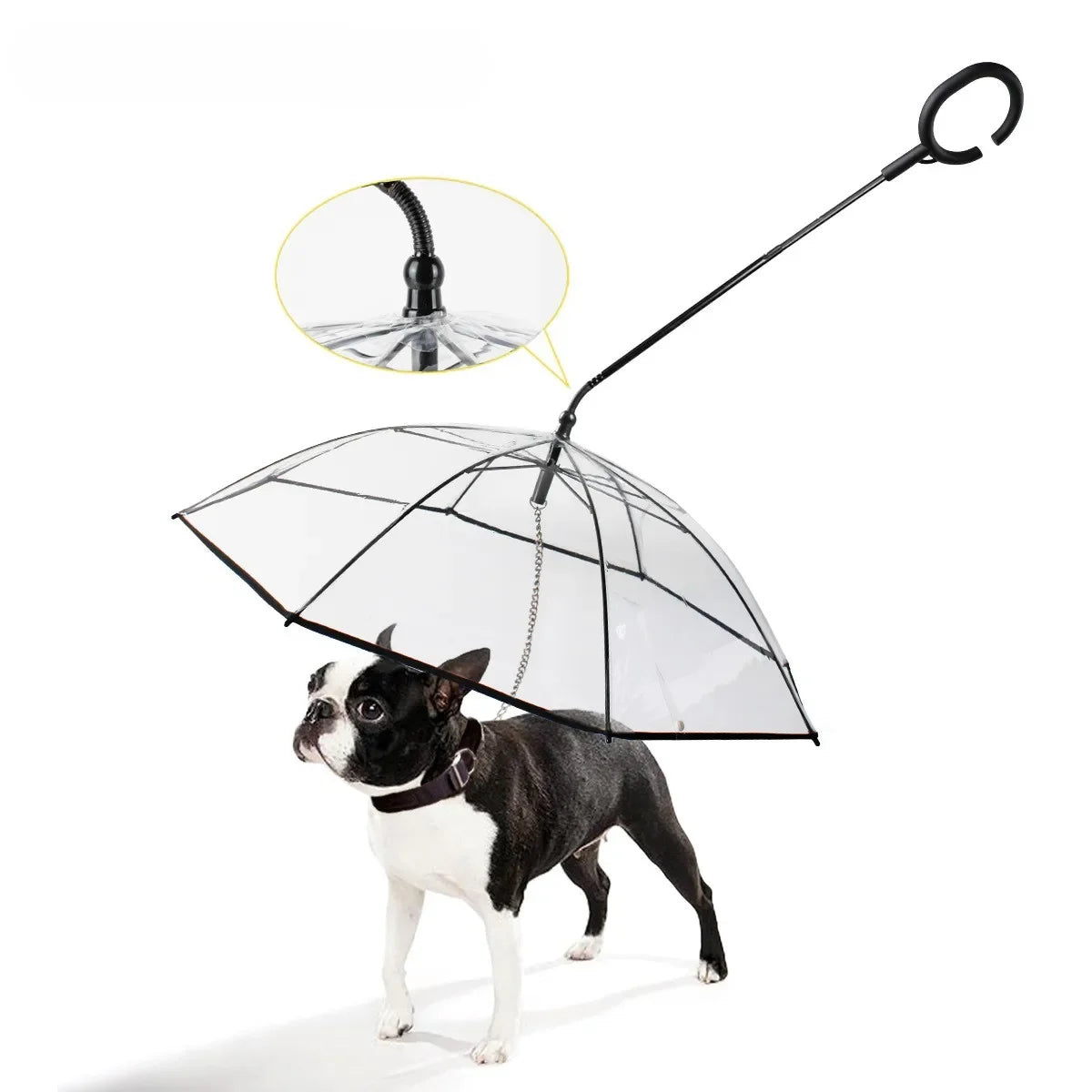 C-shaped transparent dog umbrella with adjustable leash attachment