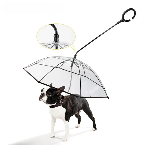 C-shaped transparent dog umbrella with adjustable leash attachment