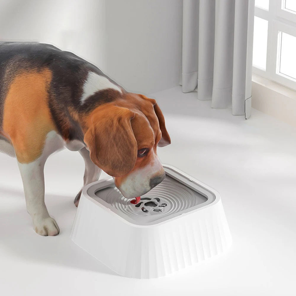 Dog drinking from anti-spill floating water bowl