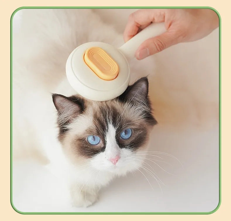  pet care